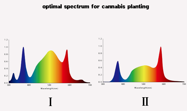 optimal spectrum for cannabis planting