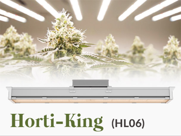 HL06 LED grow light for cannabis indoor farm
