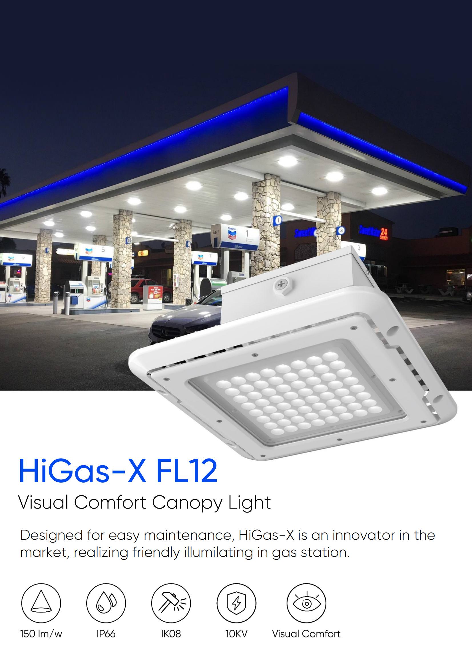 FL12 LED Canopy Light 00