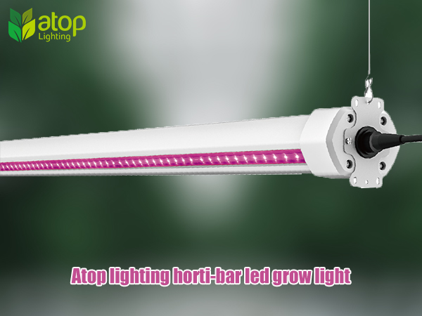 Full Spectrum LED grow light of Atop Lighting - AGC Lighting