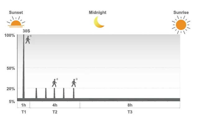 Intelligent Solar Lighting System
