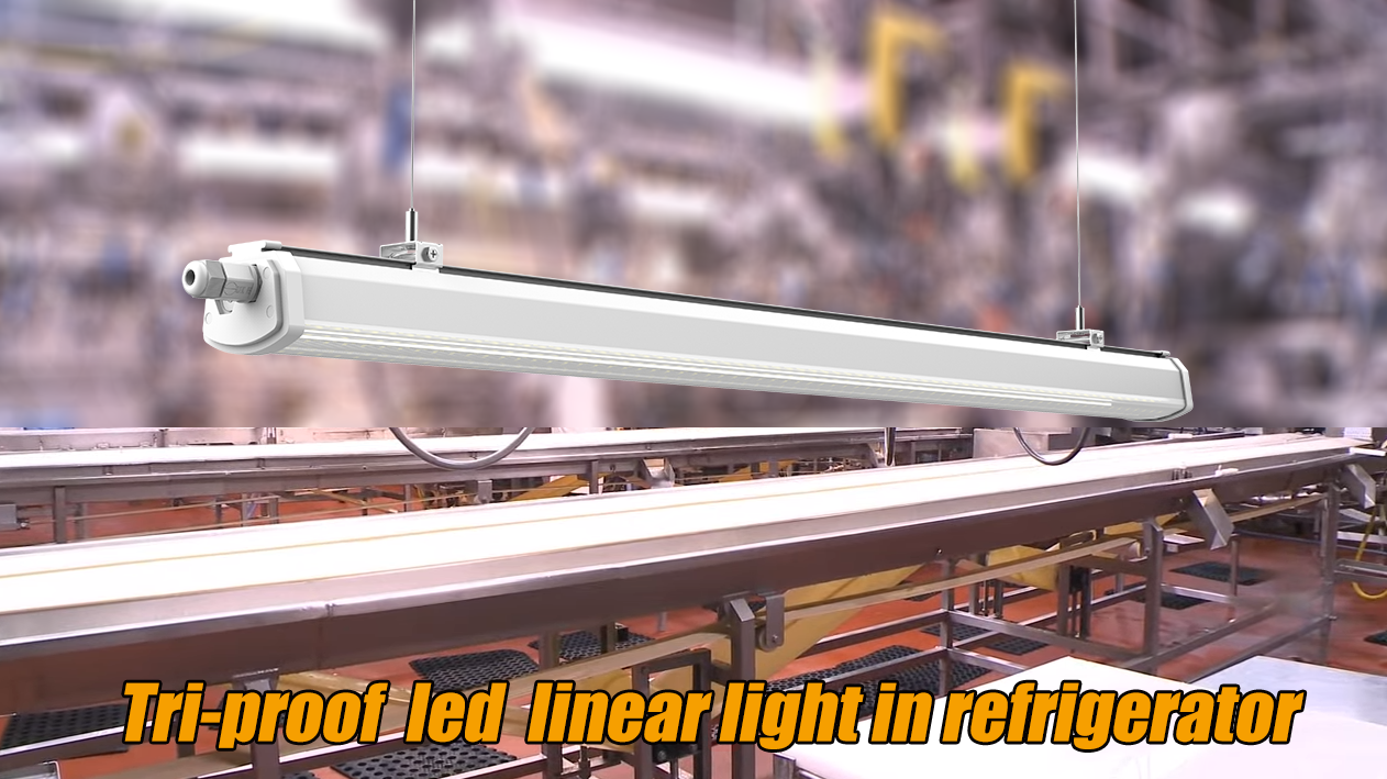 Everything You Need to Know about LED Tri-proof Light before You Purchase