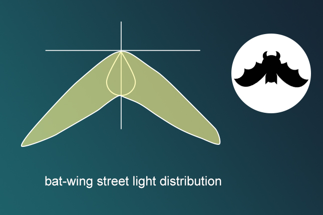 bat wing street light distribution
