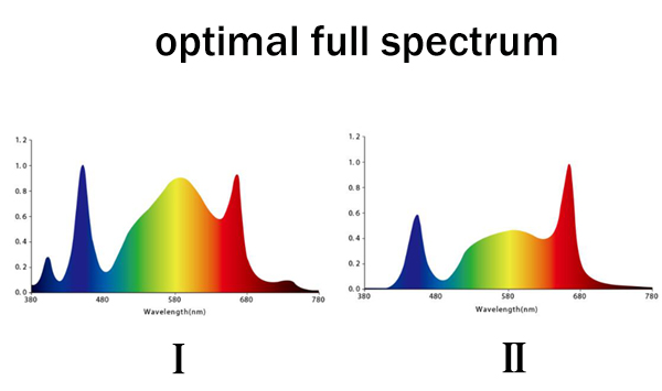 Marijuana Light Spectrum Chart