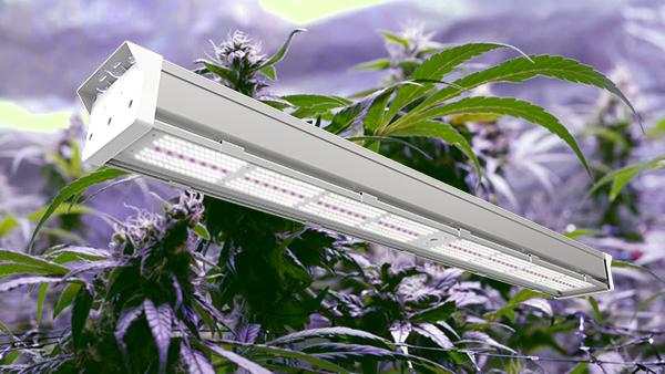 Full Spectrum LED grow light of Atop Lighting