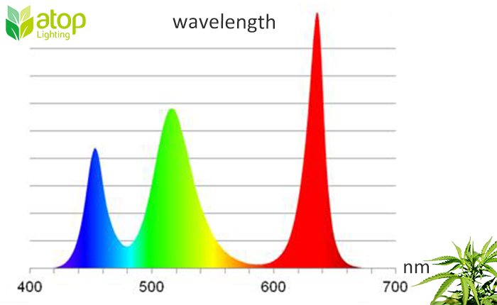 led grow light  spectrum