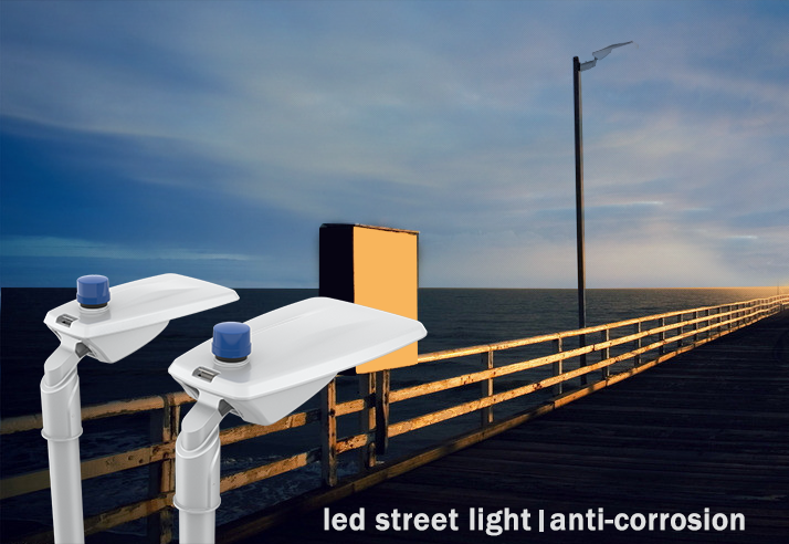 LED Street Light-1000H Salt Spray Test Approved