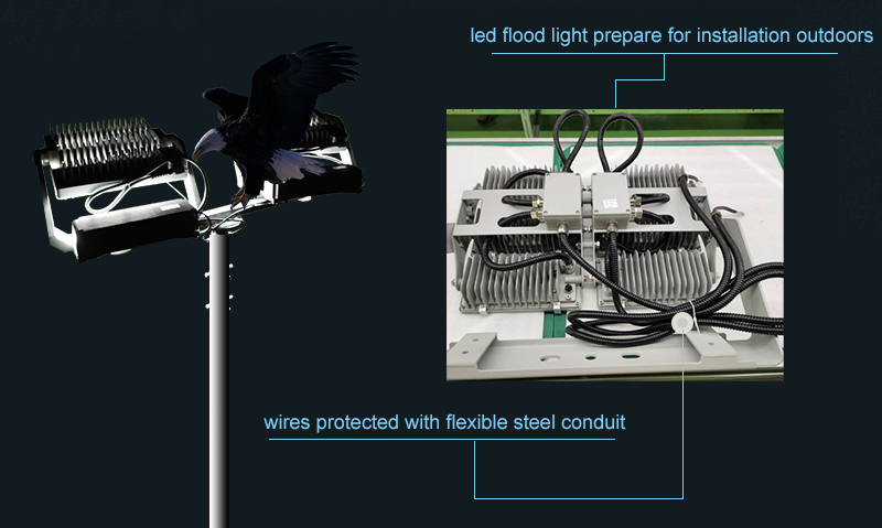 the wires of led flood light outdoors protected by flexible steel conduit to keep birds of prey from chewing