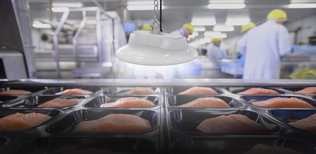 A Guide to LED Light in Food Processing