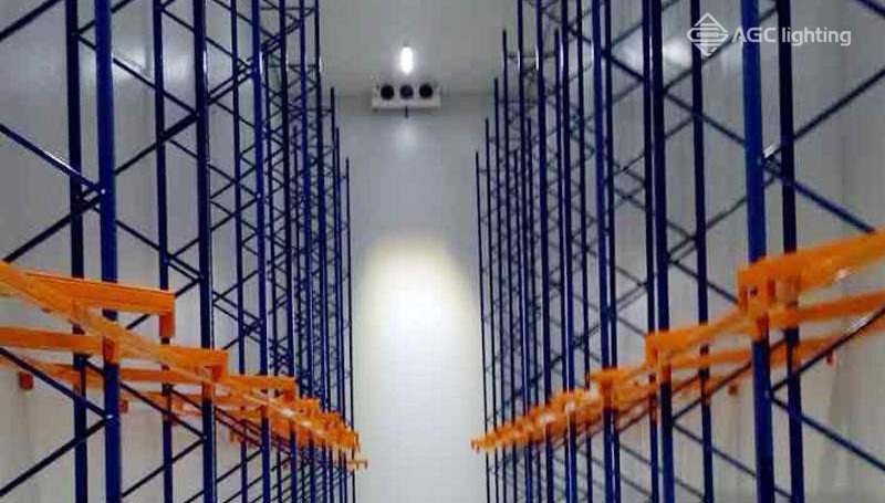 2 Main Cold Storage Lighting Considerations