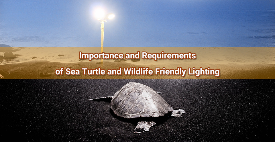 Importance and Requirements of Sea Turtle and Wildlife Friendly Lighting