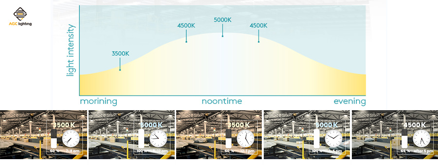 What Everyone Ought to Know About Human Centric Lighting