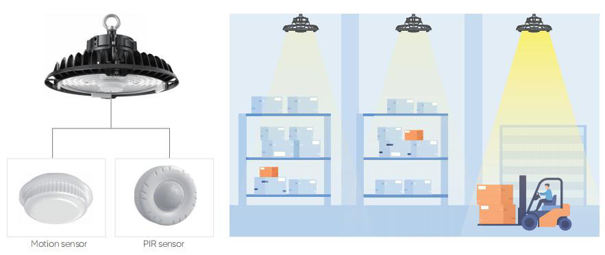 motion and PIR sensor