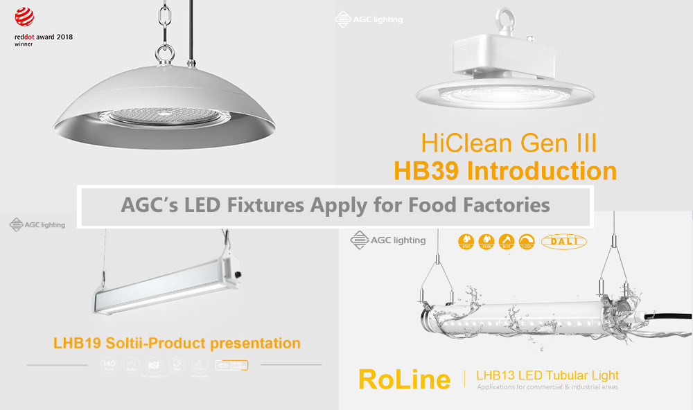 What Light Suits Food Process Factory