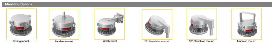 explosion proof light mounting option