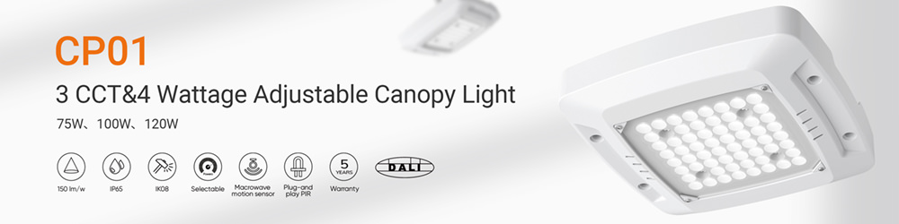 Adjustable Canopy Light