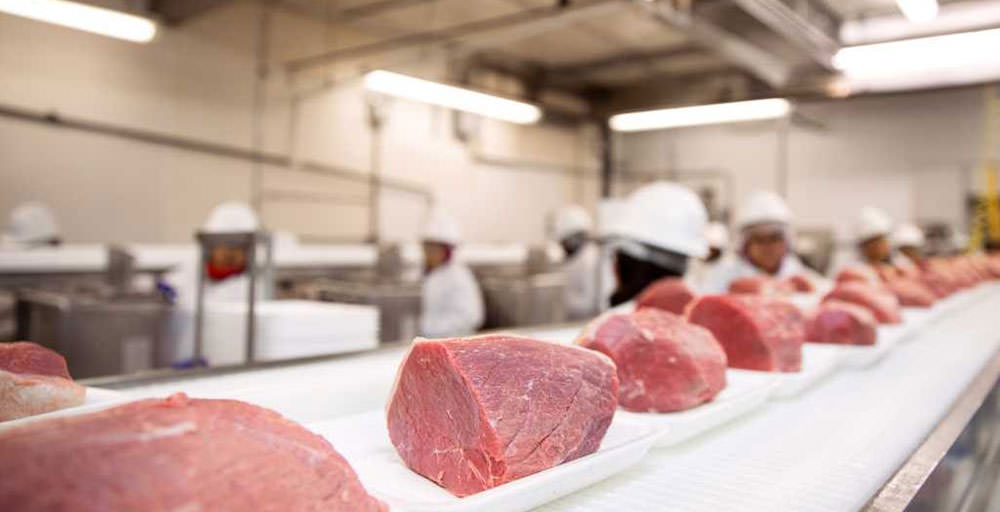 Lighting Solutions for Animal Abattoirs