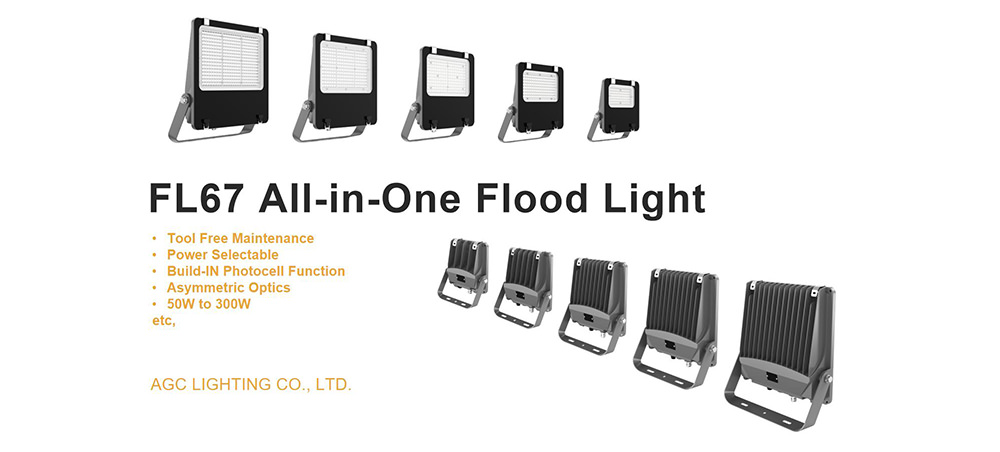 FL67 All Functions-in-One Flood Light