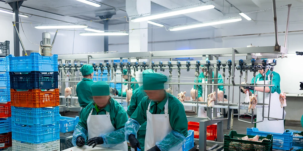 food processing meat factory