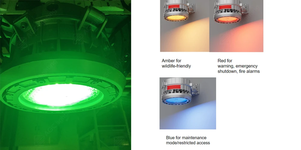 green explosion proof light and red amber blue options