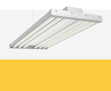 Histar LED Linear Light