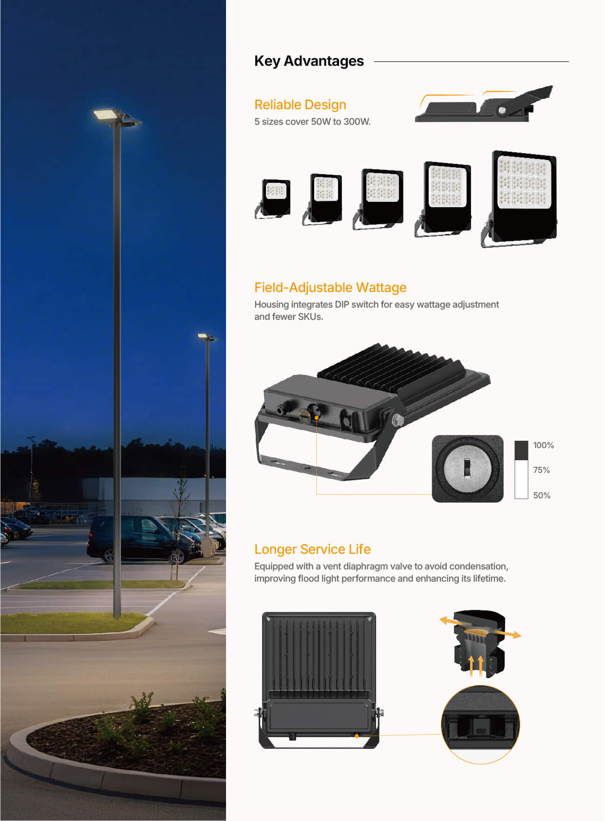 FL84 50W to 300W Field Adjustable Wattage Flood Light