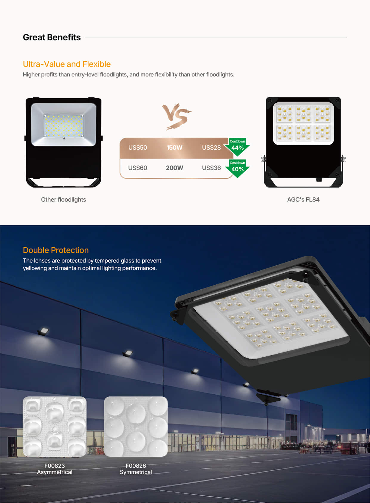 FL84 Ultra Value Flexible Double Protection Flood Light