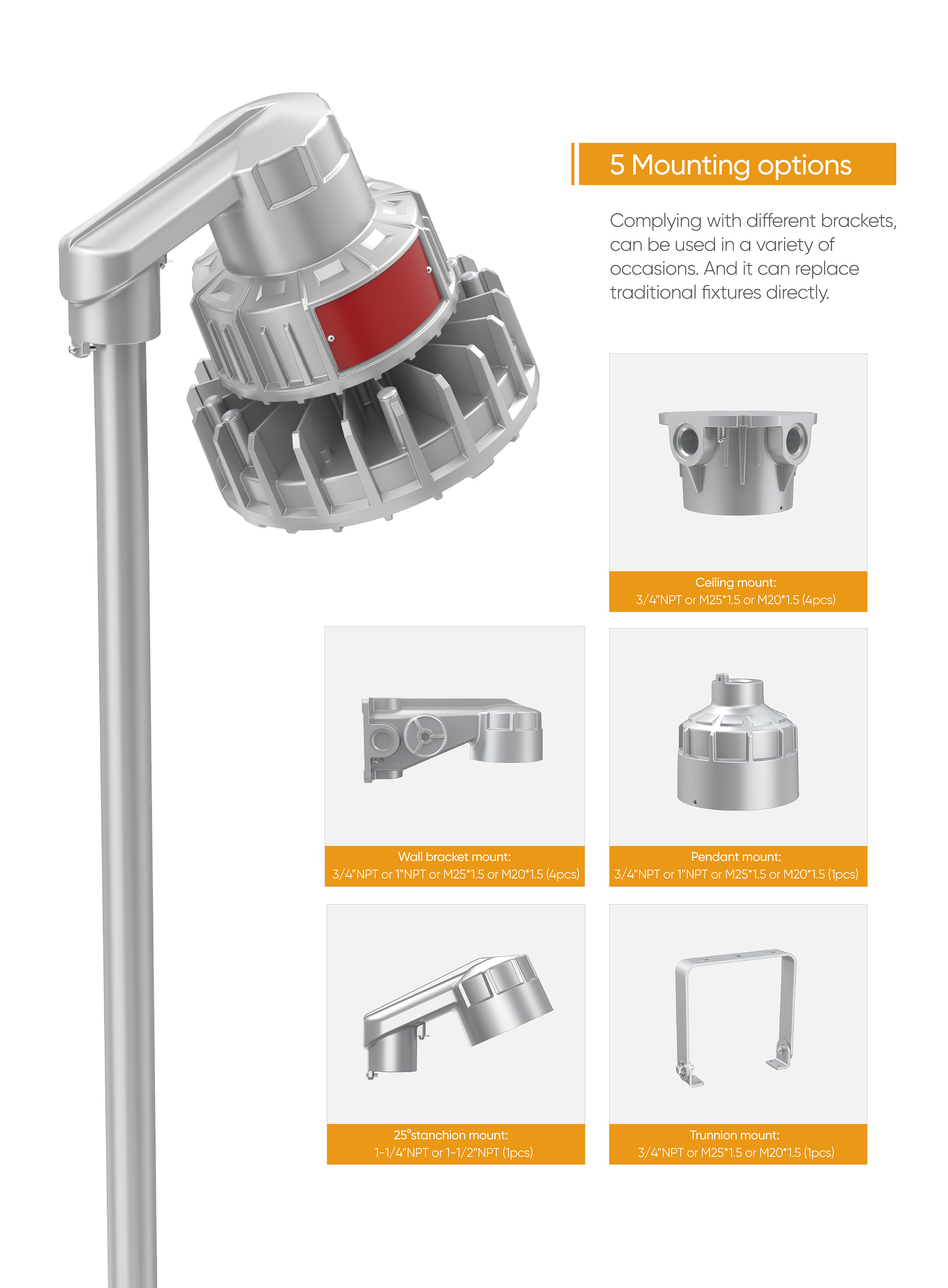 HA03 explosion proof light mounting options 3