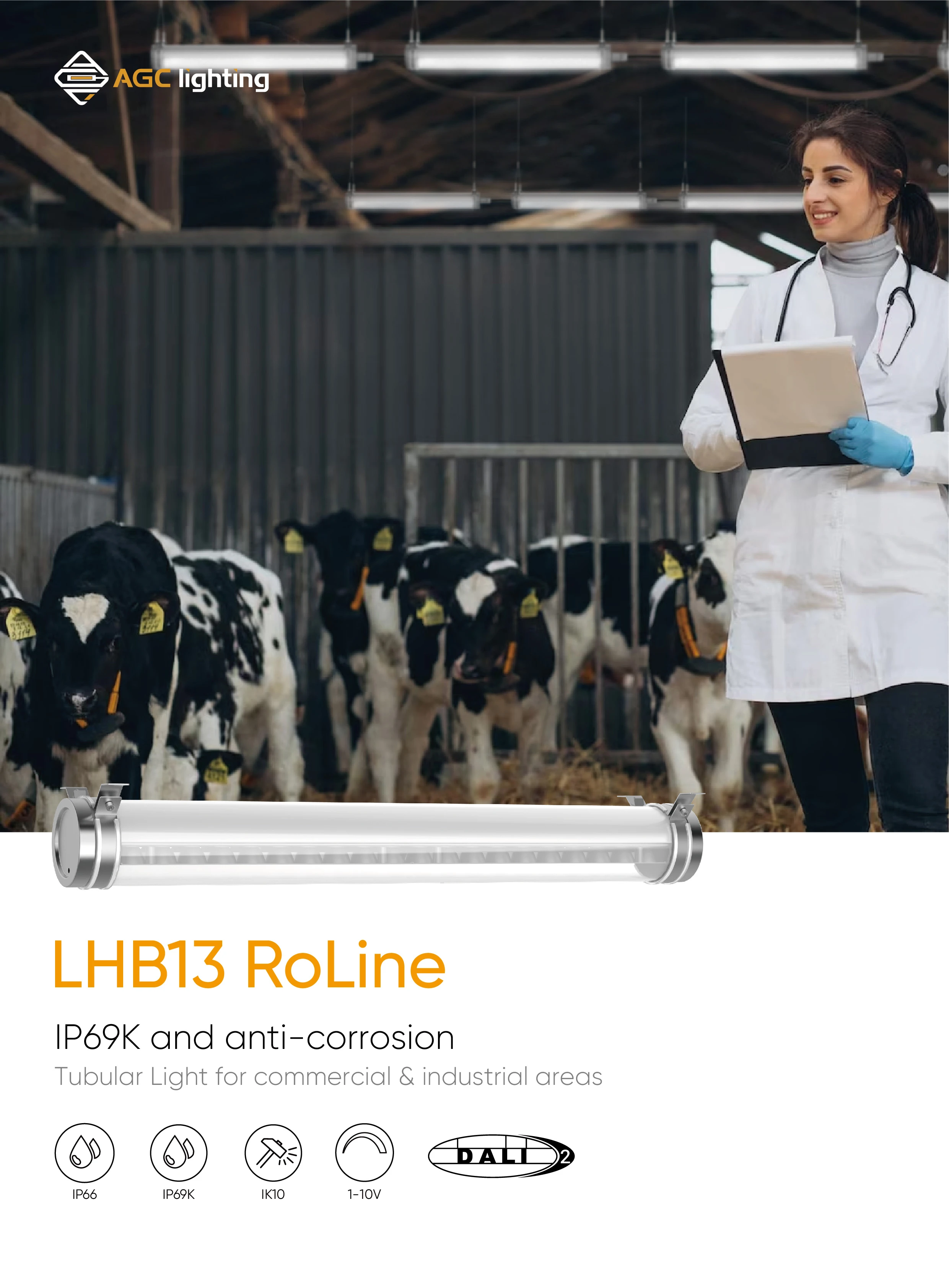 HLB13 IP69K and anti corrosion linear high bay light 01