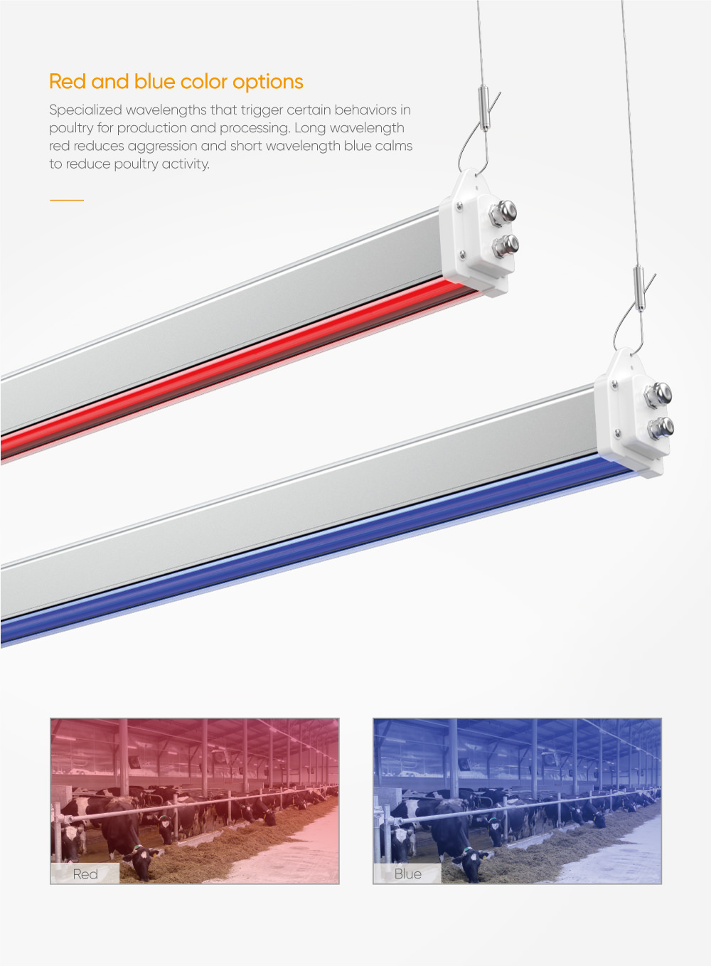 LHB19 linear light 04