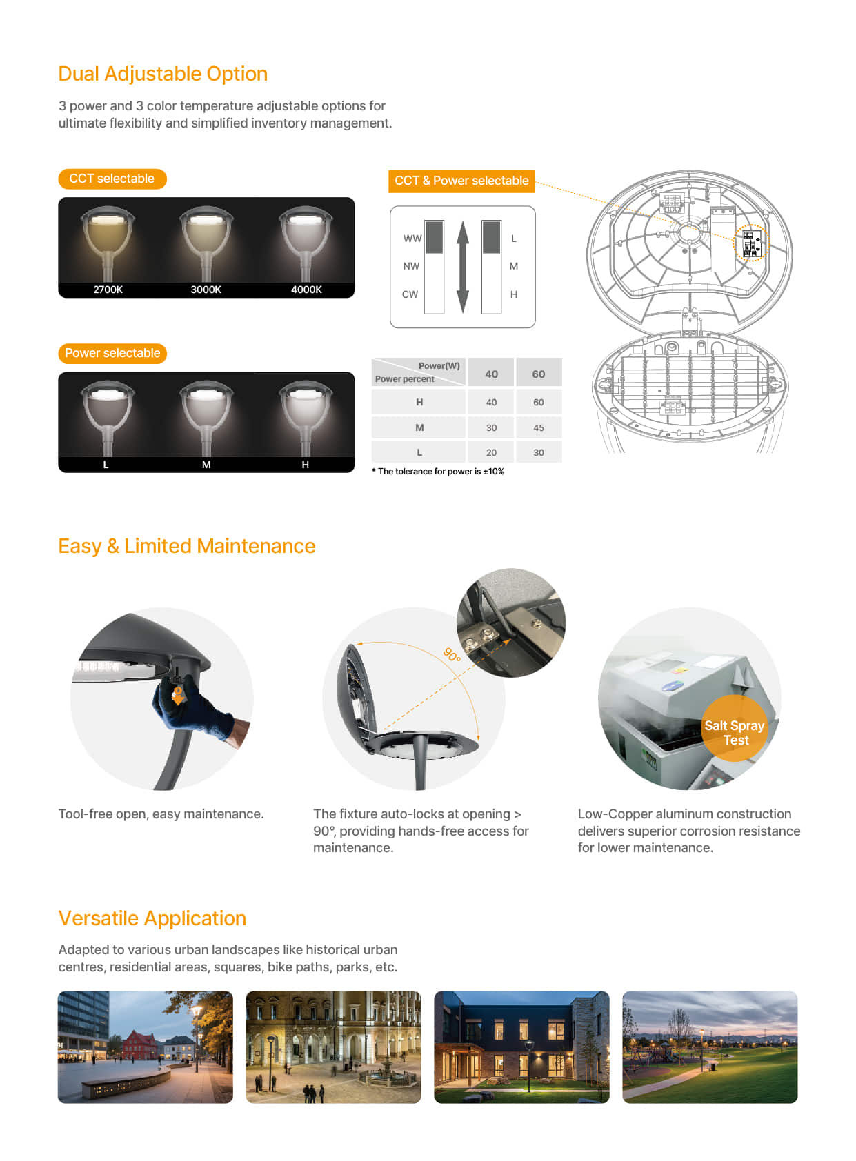 PT12 CCT Power selectable Post Top Light