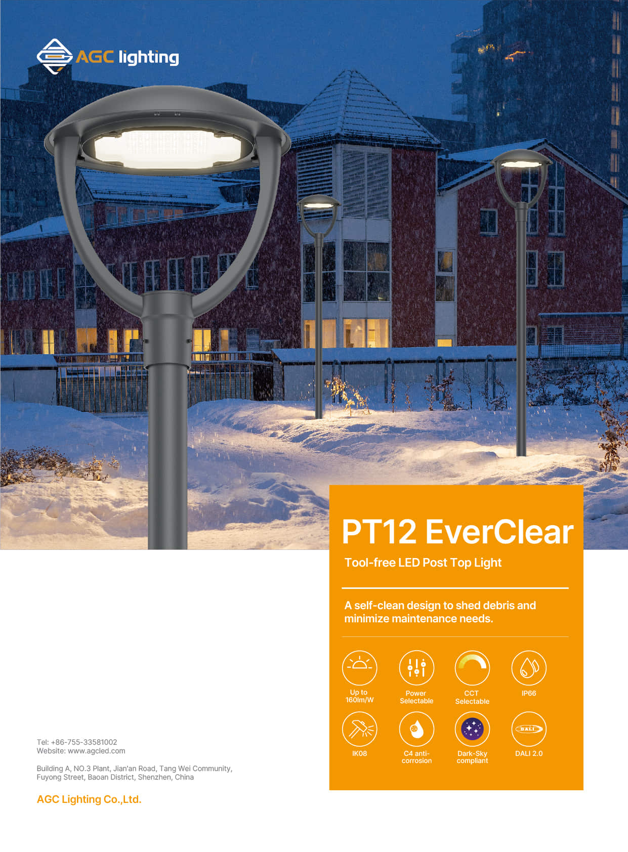 PT12 Dual Adjustable Post Top Light